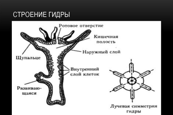 Ссылка на кракен площадка
