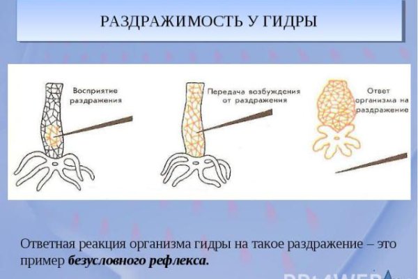 Кракен магазин тор