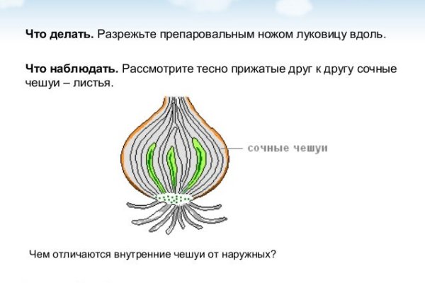 Оригинальный сайт кракен