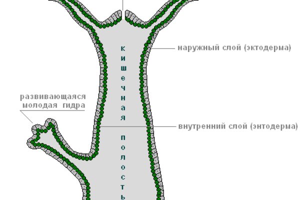 Кракен ссылка даркнет