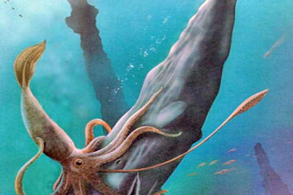 Kraken darknet зеркала кракен обход