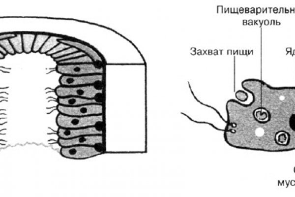 Действующие ссылки на кракен