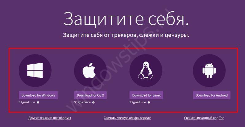 Как зайти на кракен с компа