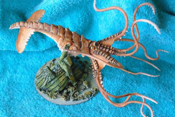 Kraken вход kraken torion