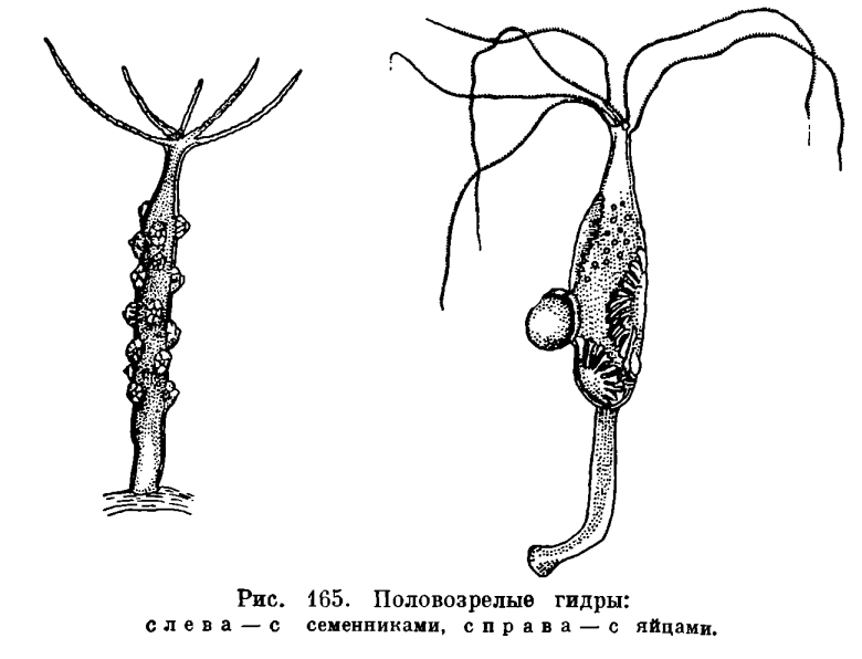 Vk8 at кракен